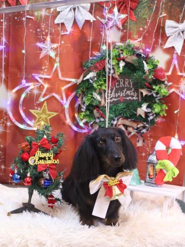 20231212小太郎くん